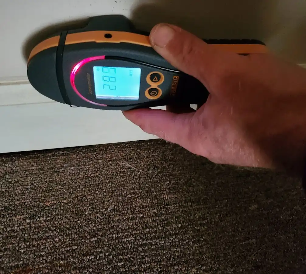 Moisture detection at baseboard during Sewage Cleanup & Sanitation in Fort Edward